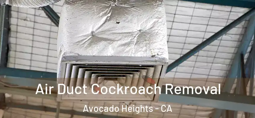  Air Duct Cockroach Removal Avocado Heights - CA
