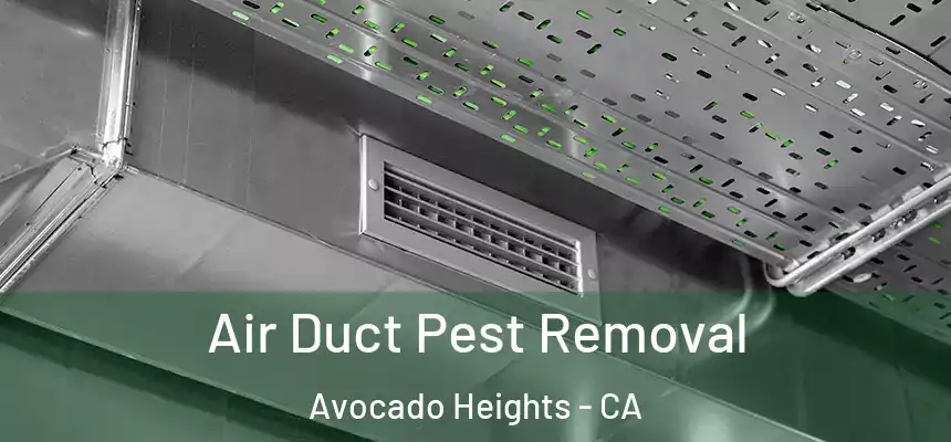  Air Duct Pest Removal Avocado Heights - CA