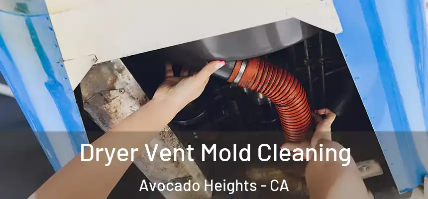  Dryer Vent Mold Cleaning Avocado Heights - CA