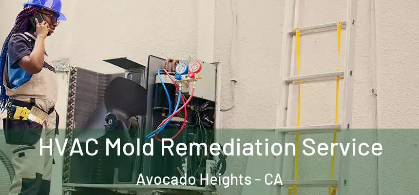  HVAC Mold Remediation Service Avocado Heights - CA