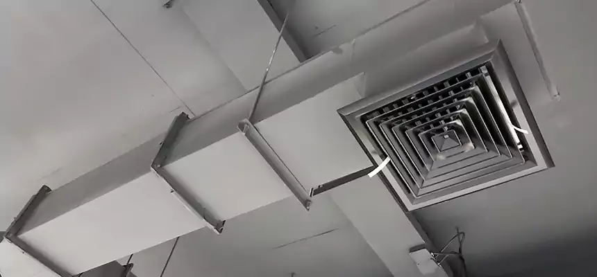 Our Rodent Droppings In Vents Services in Avocado Heights, CA