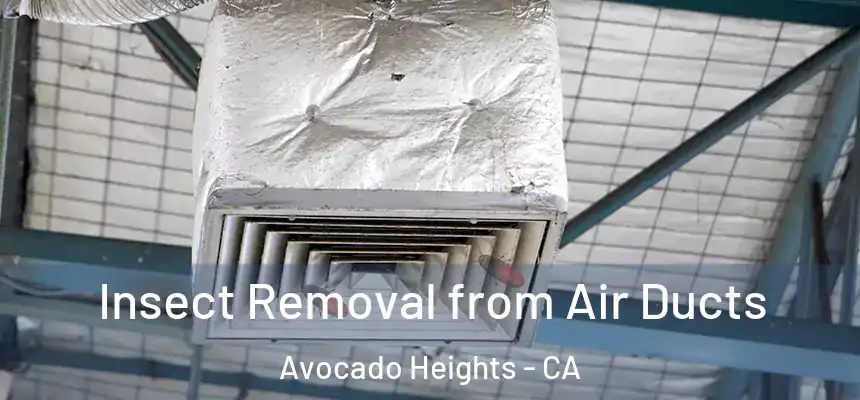  Insect Removal from Air Ducts Avocado Heights - CA