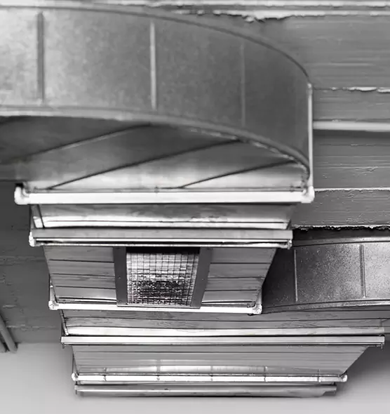 Professional Air Duct Pet Hair Removal in Avocado Heights, CA