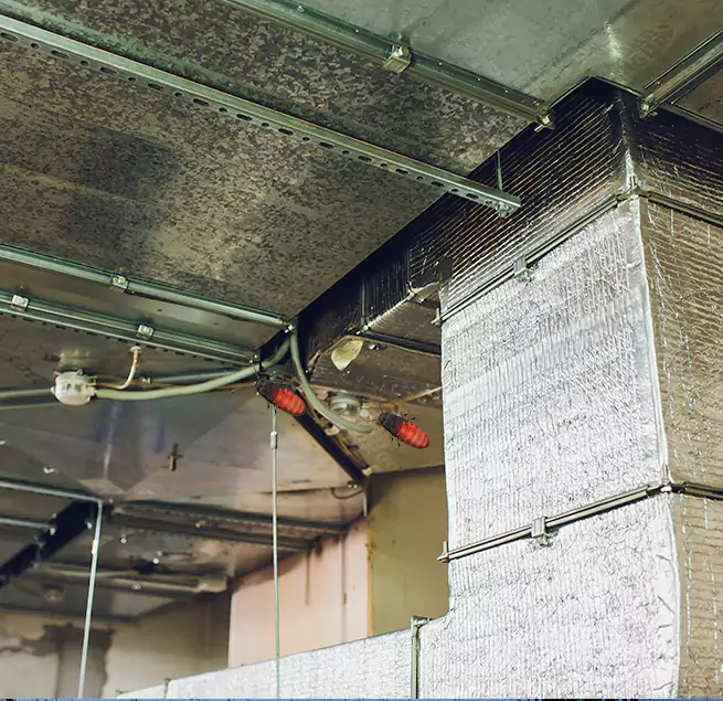 Why Homeowners & Businesses Trust Us in Avocado Heights, CA?