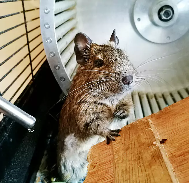 Why Homeowners & Businesses Trust Us Avocado Heights, CA