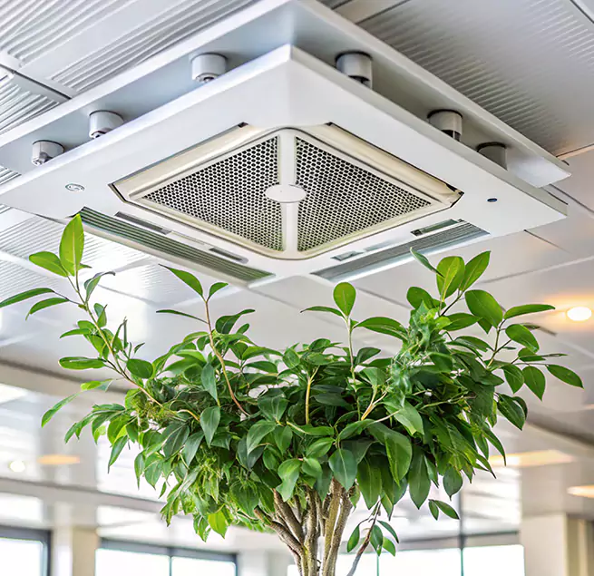 Why Homeowners & Businesses Trust Us in Avocado Heights, CA?