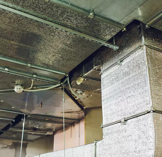 Why Homeowners & Businesses Trust Us in Avocado Heights, CA?