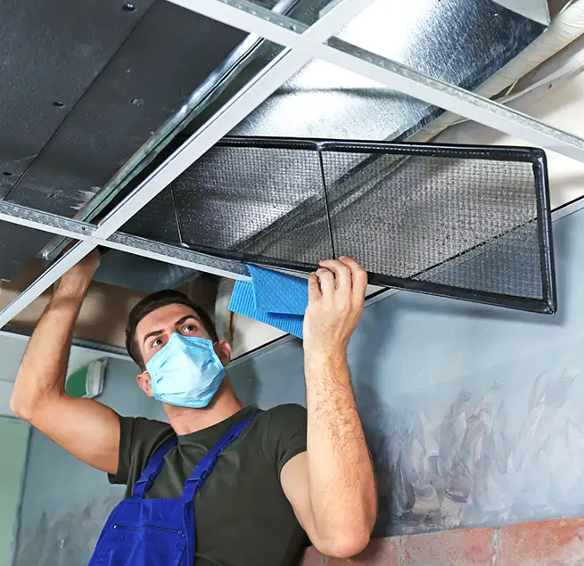 Why Homeowners & Businesses Trust Us in Avocado Heights, CA?