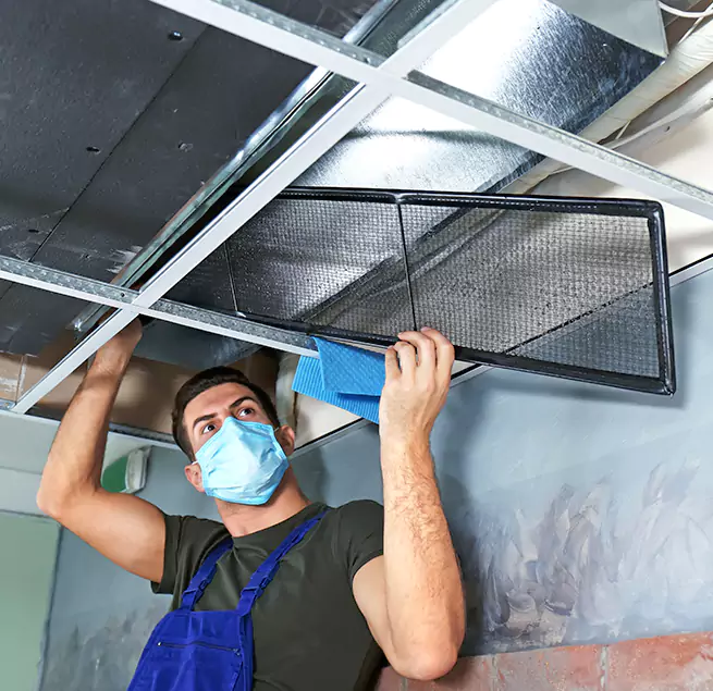 Why Homeowners & Businesses Trust Us in Avocado Heights, CA?