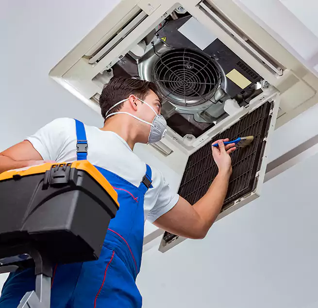 Why Homeowners & Businesses Trust Us in Avocado Heights, CA?